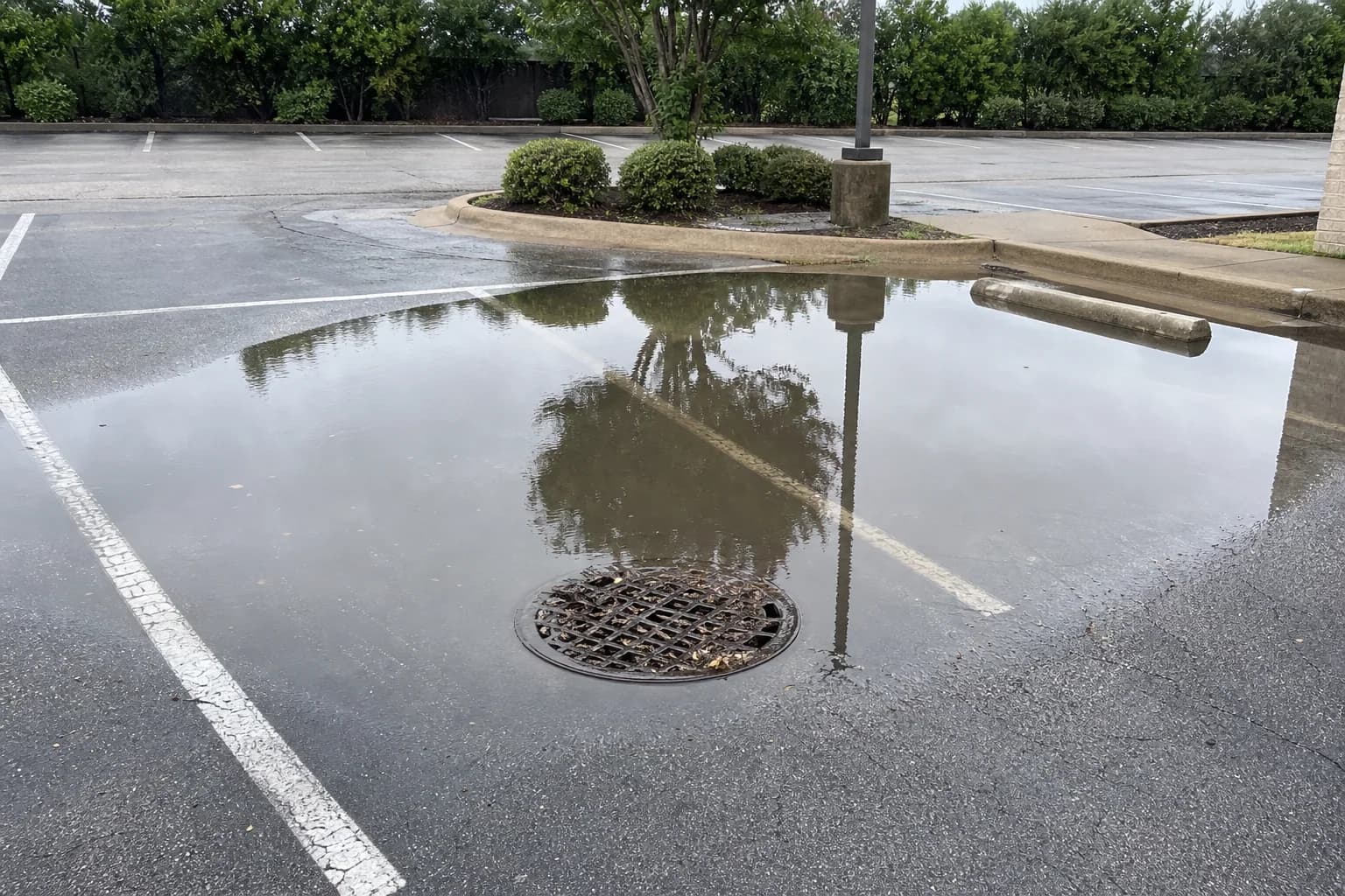 Water standing across a commercial parking lot, covering the painted stall stripes and a leaf-covered storm drain grate