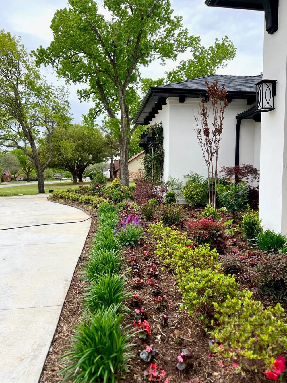 A white stucco home with a curved concrete walkway lined with colorful planting beds and shrubs in North Texas
