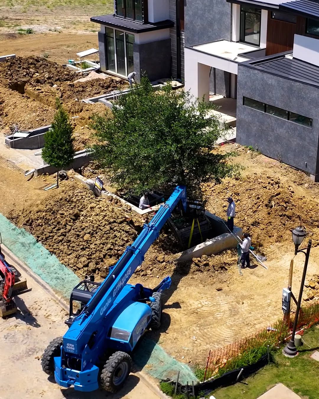 A telehandler lifting a mature tree into a prepared bed at a commercial property under construction