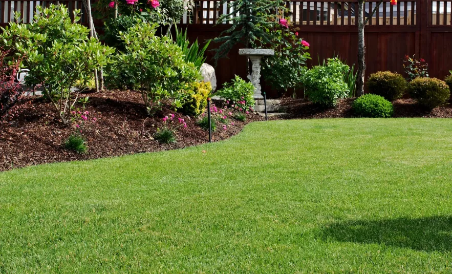 A dense, healthy green lawn bordered by mulched planting beds.